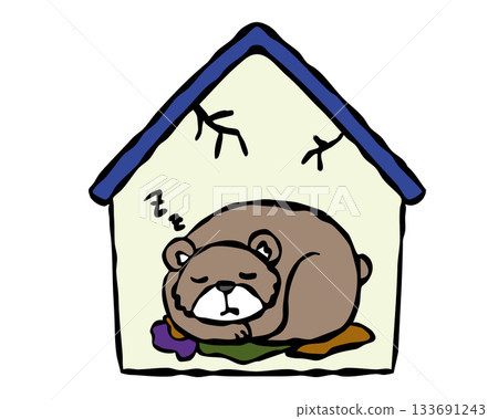 Bear hibernating in a private home Bear hibernating in a private home 133691243
