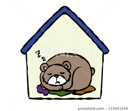Bear hibernating in a private home Bear hibernating in a private home 133691244