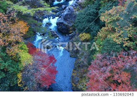 秋葉染紅的山谷，奧多摩，奧多摩步道 133692043