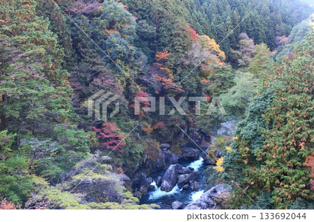 秋葉染紅的山谷,奧多摩,奧多摩步道 秋葉染紅的山谷,奧多摩,奧多摩步道 133692044