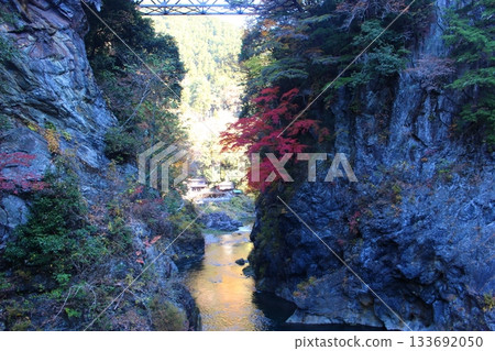 A valley dyed in autumn leaves, Okutama, Otama Walking Trail A valley dyed in autumn leaves, Okutama, Otama Walking Trail 133692050