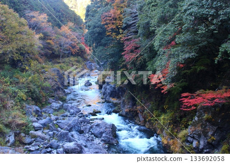 秋葉染紅的山谷，奧多摩，奧多摩步道 133692058