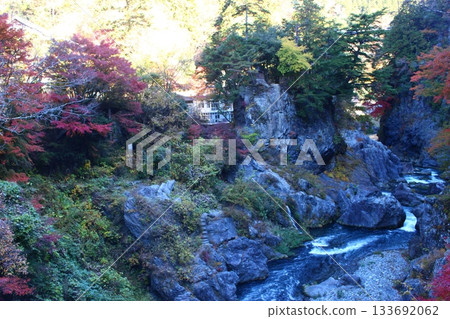 A valley dyed in autumn leaves, Okutama, Otama Walking Trail 133692062