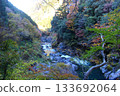 A valley dyed in autumn leaves, Okutama, Otama Walking Trail 133692064