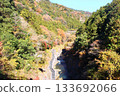 A valley dyed in autumn leaves, Okutama, Otama Walking Trail 133692066
