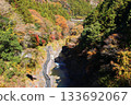 A valley dyed in autumn leaves, Okutama, Otama Walking Trail 133692067