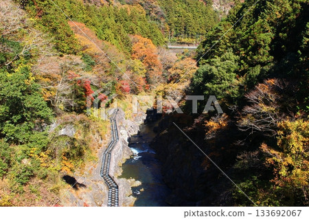 A valley dyed in autumn leaves, Okutama, Otama Walking Trail A valley dyed in autumn leaves, Okutama, Otama Walking Trail 133692067