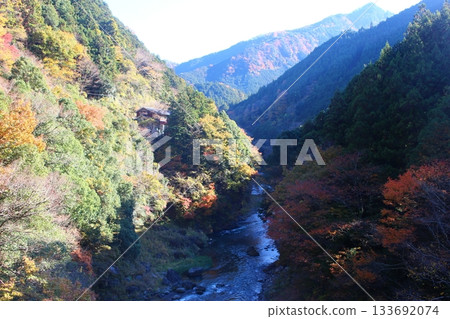 A valley dyed in autumn leaves, Okutama, Otama Walking Trail A valley dyed in autumn leaves, Okutama, Otama Walking Trail 133692074