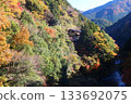 A valley dyed in autumn leaves, Okutama, Otama Walking Trail 133692075