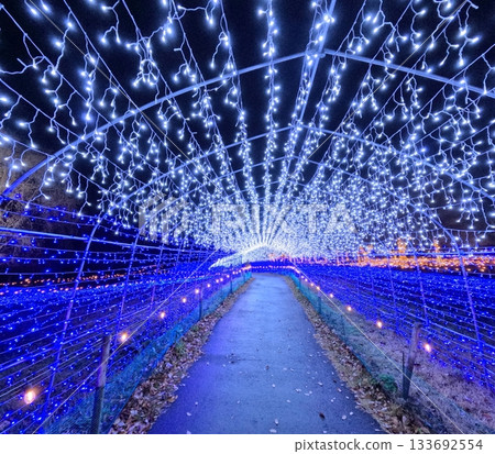 Yakurai Garden Hoshiakari 133692554