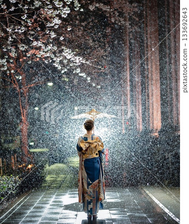 Japan, Japanese Kimono, Night View, Cherry Blossoms 133692643