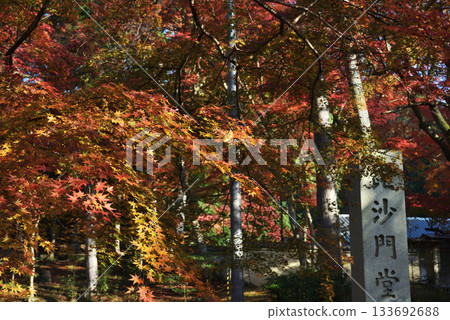 Autumn at Bishamon-do Monzeki entrance (Yamashina Ward, Kyoto City) Autumn at Bishamon-do Monzeki entrance (Yamashina Ward, Kyoto City) 133692688