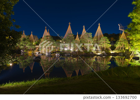 Night view of Shirotori Garden in Nagoya 133692700