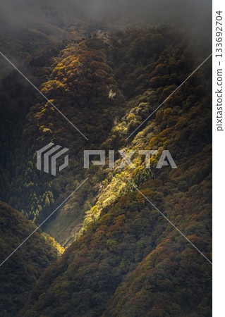 Light shining on the autumn leaves of the mountain Light shining on the autumn leaves of the mountain 133692704
