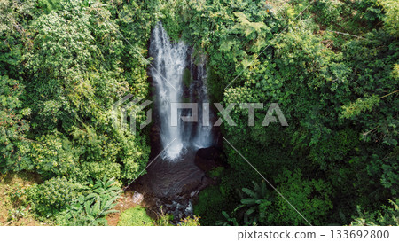 Tropical waterfall with lush jungle, paradise in Bali. Drone view 133692800