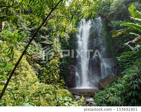 Tropical powerful waterfall with lush jungle, natural paradise in Bali. Tropical powerful waterfall with lush jungle, natural paradise in Bali. 133692801