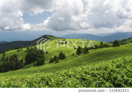 Vast plateau Vast plateau 133692853