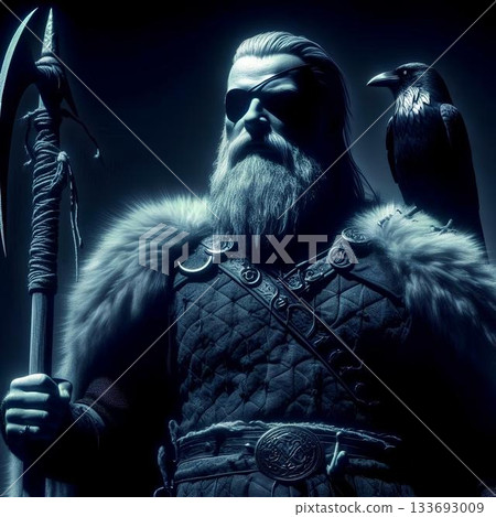 the Viking god Odin 133693009