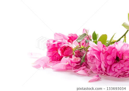 Minimalistic background roses and petals on a white background 133693034