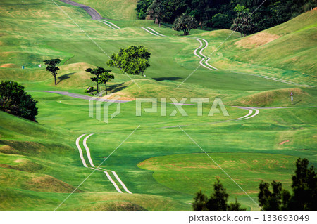 Golf Course Lush Greens in Luzhu Taoyuan Taiwan. 133693049