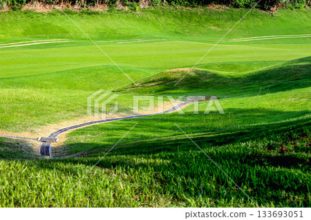Lush Green Fairways of Golf Course Luzhu Taoyuan. 133693051
