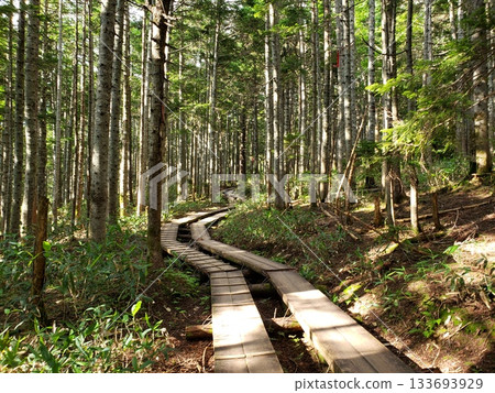 在山裡散步 133693929