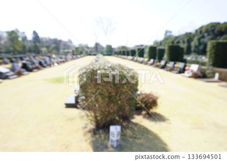 Visiting the grave image blur Visiting the grave image blur 133694501