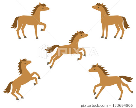 Horse illustration set 133694806
