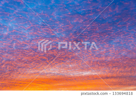 Altocumulus blue, pink, orange clouds at twilight. Texture, background. 133694818