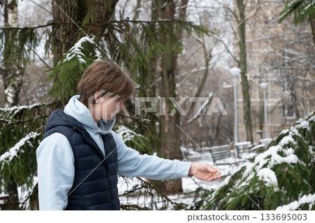 Young man walks and touches snow on evergreen branches in peaceful winter park. First snow. Outdoor Lifestyle 133695003