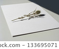 Minimal dried flower branch on white 133695071
