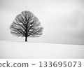 Lone Tree on Snowy Hill 133695073