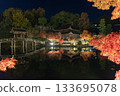 Illumination of Eihoji Temple in Tajimi City 133695078