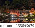 Illumination of Eihoji Temple in Tajimi City 133695079