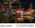 Illumination of Eihoji Temple in Tajimi City 133695080