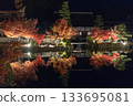 Illumination of Eihoji Temple in Tajimi City 133695081