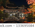 Illumination of Eihoji Temple in Tajimi City 133695084