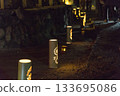 Bamboo light 133695086