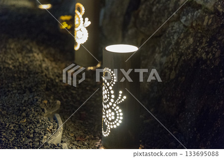 Bamboo light 133695088