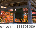 Autumn leaves of Inuyama Rakuin 133695089