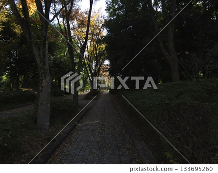東京大田區和平之森公園的秋葉與靜謐的石板路 東京大田區和平之森公園的秋葉與靜謐的石板路 133695260
