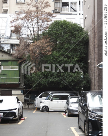A crowded paid parking lot surrounded by trees behind a building in the city center A crowded paid parking lot surrounded by trees behind a building in the city center 133695289