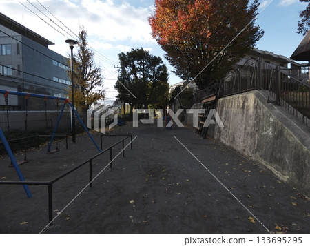 Autumn leaves and a swing at dusk in a park in a residential area of Ota Ward, Tokyo Autumn leaves and a swing at dusk in a park in a residential area of Ota Ward, Tokyo 133695295