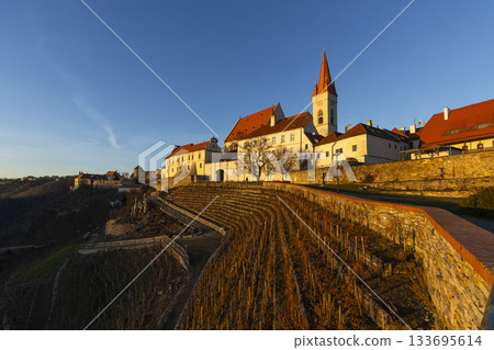 Znojmo old town terraced vineyards at golden hour Znojmo old town terraced vineyards at golden hour 133695614