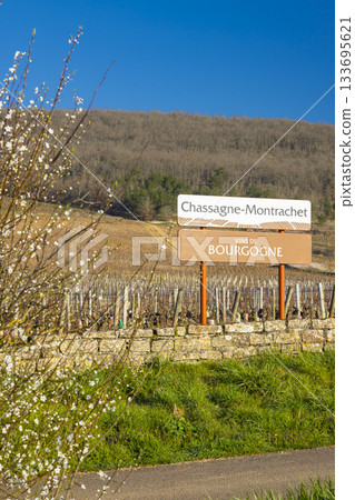 Chassagne Montrachet sign marking Bourgogne wine region 133695621