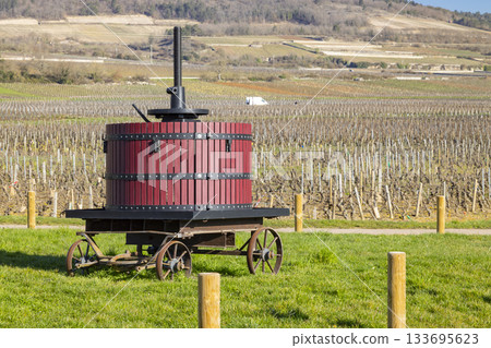 Traditional wine press standing in Puligny Montrachet vineyard 133695623