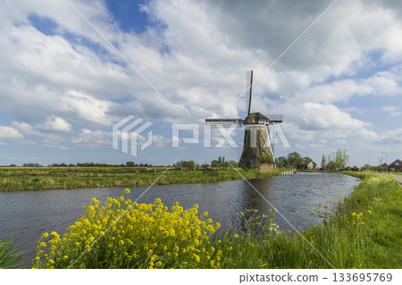 Dutch windmill standing by canal in Haastrecht, Netherlands 133695769