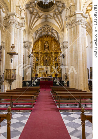 Baeza Cathedral interior featuring ornate golden altarpiece Baeza Cathedral interior featuring ornate golden altarpiece 133695791