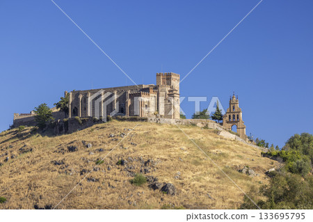 Nuestra Senora del Mayor Dolor church and castle in Aracena 133695795