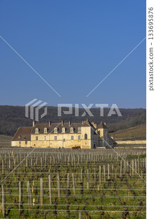 CHATEAU DU CLOS DE VOUGEOT in historic Burgundy vineyard CHATEAU DU CLOS DE VOUGEOT in historic Burgundy vineyard 133695876